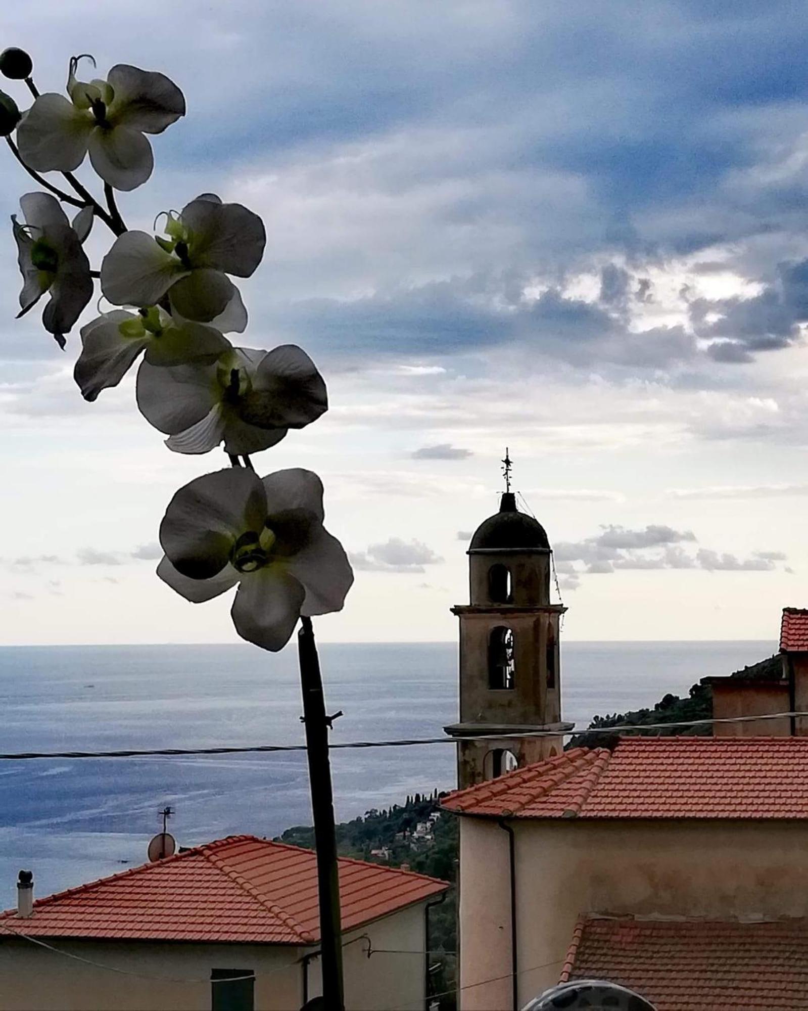 Dolci Risvegli Appartamento Vista Mare Ventimiglia Luaran gambar